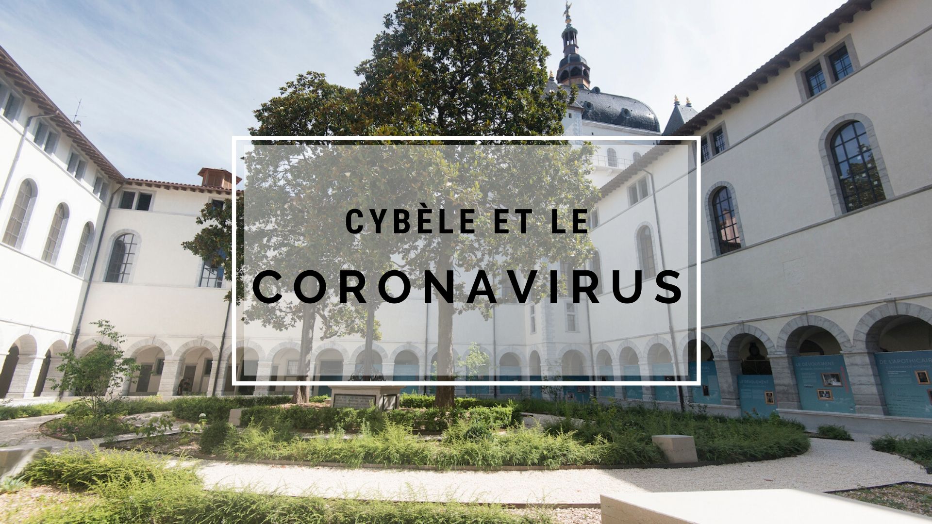 Newsletter Coronavirus