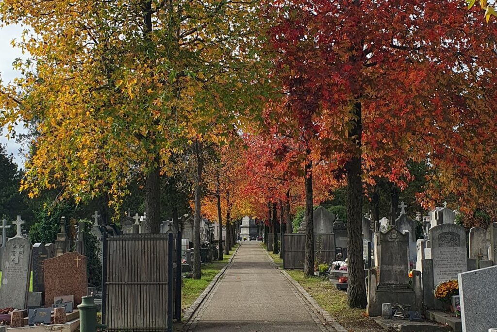 Cimetière 5